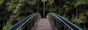 Puente en medio del bosque